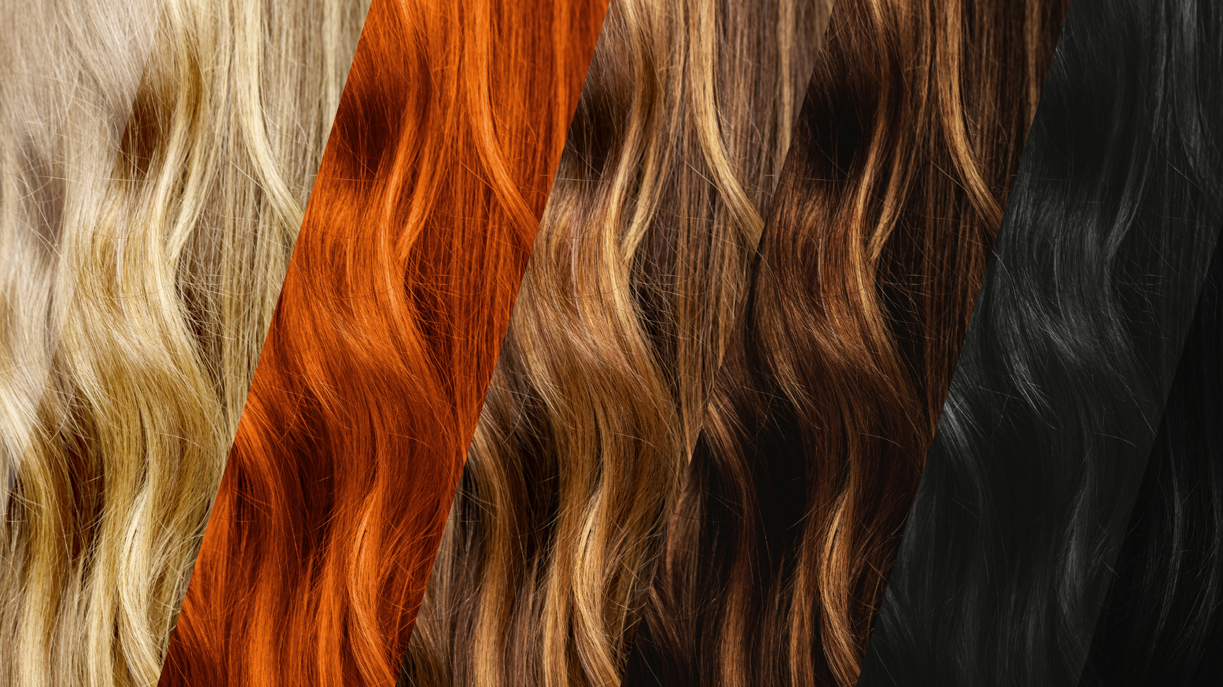 Échantillons de cheveux de différentes couleurs.